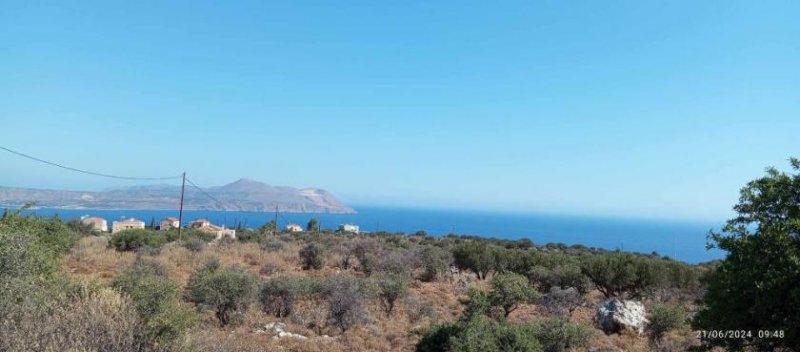 Kokkino Chorio Kreta, Kokkino Chorio: Grundstück mit uneingeschränktem Meerblick zu verkaufen Grundstück kaufen